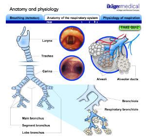eLearning image